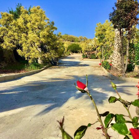Los Ninos Villa/Country House Frigiliana Kültér fotó